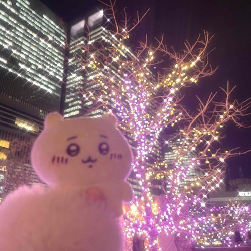 ふゆ がすき ♩ みんなも？🪿