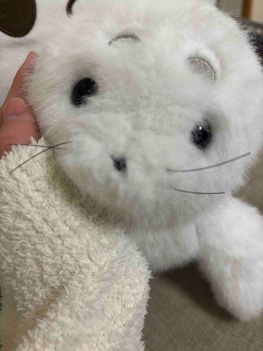 今日も頑張った〜って言いたいところだけど全然めっちゃゴロゴロしてたあ😭
そういう日もあるよね
みなさん金曜日お疲れ様です✨