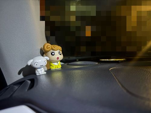 車にひまたんとシロ🥺💛
まだ運転慣れてないから練習しなきゃひまたちと共にね。☺️