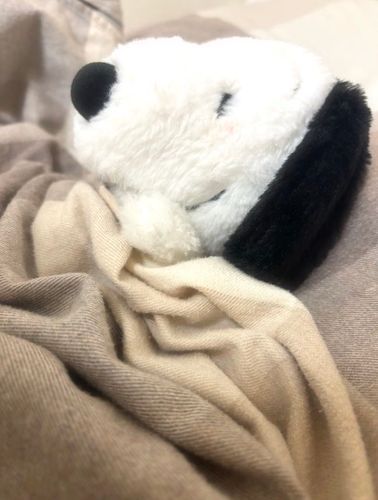ねんね🤍