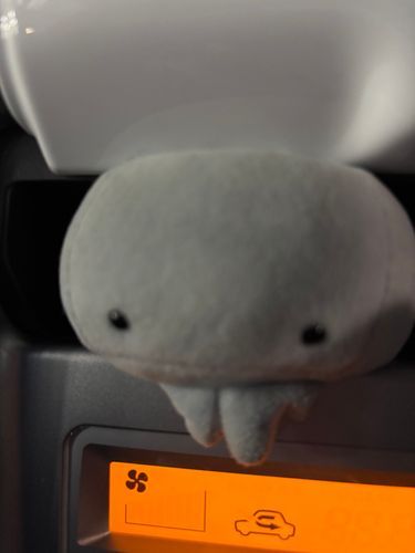 免許とって約1ヶ月
慣れてきた運転楽しい❤️