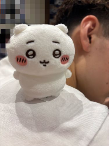 乗ってみた。(๑>◡<๑)