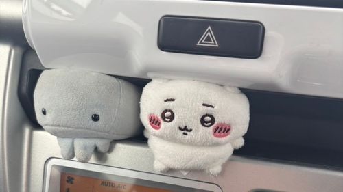 ﾊｻﾏﾚﾁｬｯﾀ！