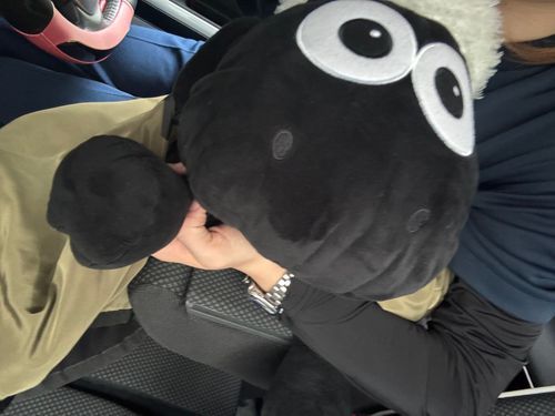 仕事終わりの癒し🤍ﾒｰ！
