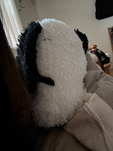 いつも一緒に寝てると落ちちゃうんだけど今日はおりこうさんに隣でねんねしてた🤍