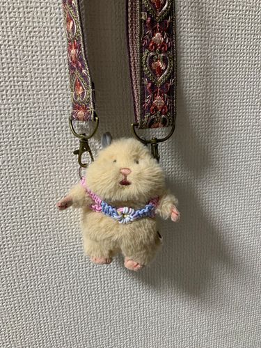 きょう　そらをとべるように
なったんだぁ　☁️