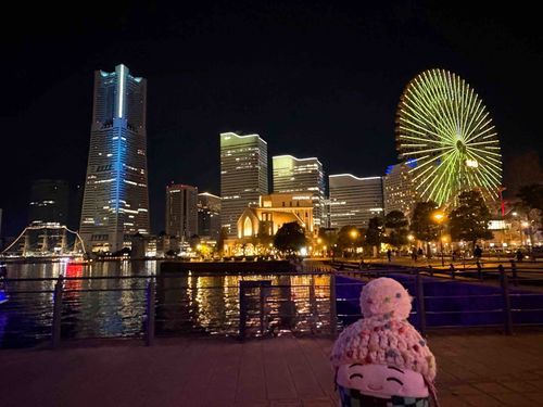 🌃🎄( ˶◜◡◝˶ )