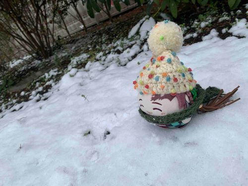 少しですが積もりました( ˶◜◡◝˶ )❄️