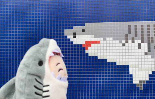 シーパラのサメ博に来ました！
🦈さんこんにちは( ˶◜◡◝˶ )