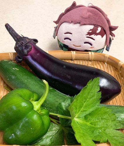 俺が育てた野菜です( ˶◜◡◝˶ )