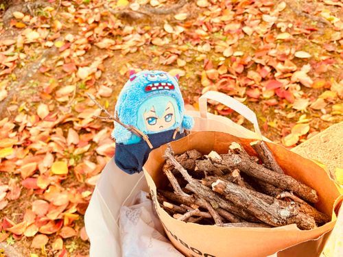 😈🍀たくさん焚き木拾ったﾜﾙ