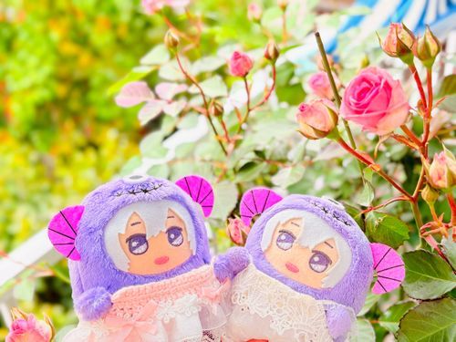 🌱さきはじめました💜