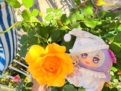 👸🌱いいによい〜