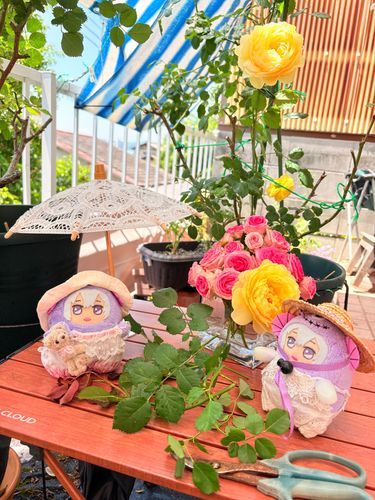 🌱ふー☀️あちち
せんていおわりました✂️🌹