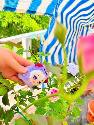 どうも　マネージャーです
新しいいのちを授かりました☺️ちびちゃん　お花だよ