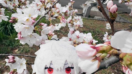 歯医者さんの付き添い、ありがとう！
さて、ｸｽﾞﾊさんは、花より……………？