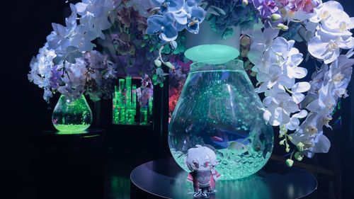 写真係の癒し。アートアクアリウムに連れてかれたｸｽﾞﾊさん。綺麗だったね。