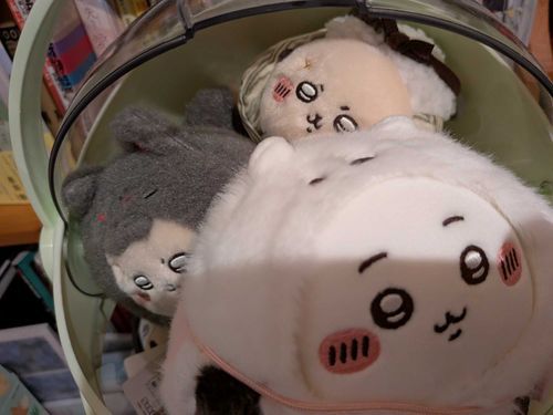 こんばんは🌙
ダンボールの長旅でやってきたのでよろしくね〜