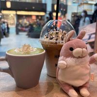 ももとゆめ