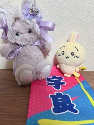 💜🐰大相撲！がんばれ宇良関なの！うらら！