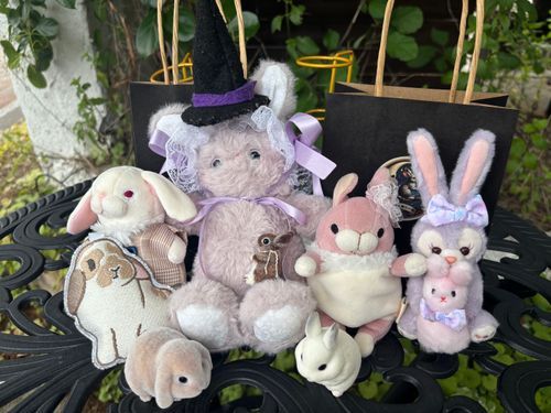 💜🐰おともだちとおでかけなの！
🤍🐰魔法の世界にようこそ！
🍑🐰おともだちいっぱいだね！