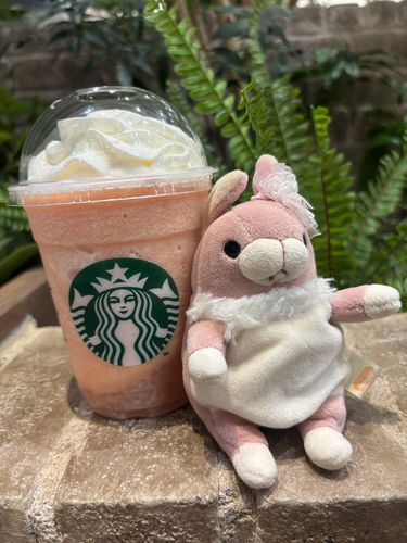 🍑🐰今日もあっっっついね！スターバックスのピーチフラペチーノでひんやりしてきたよ〜🍑ごろごろっと果肉が入ってておいしかった✨