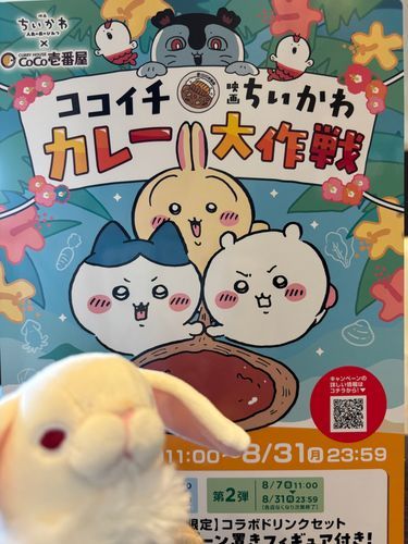 🤍🐰来たよ…🍛