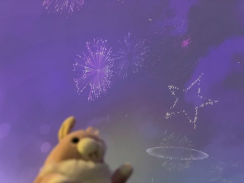🍑🐰たーまやー🎆きれいな夜空、ではなくここはプラネタリウム⭐上映前に花火が打ち上がってたんだ♪いい香りに包まれながら、癒やされタイムだったよ〜