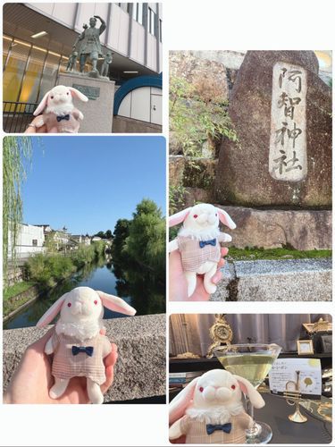 🤍🐰岡山にお出かけしてきたんだ♪
美観地区でお散歩したり、素敵なお茶屋さんでおもてなしを受けたり✨とっても楽しかったよ🐇