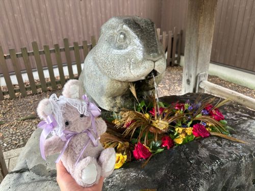 💜🐰うさぎさんの手水舎なの🐇