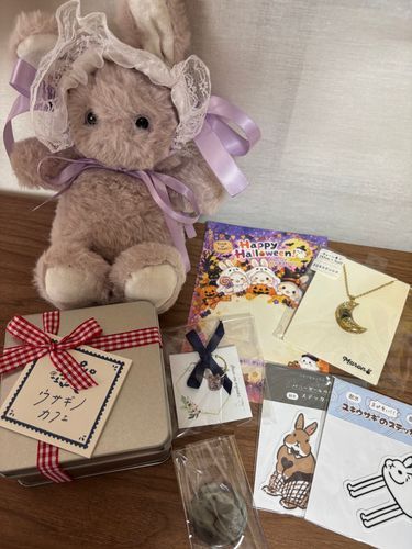 💜🐰今日お迎えしたものたちなの！うさぎさんいっぱいで嬉しいの✨