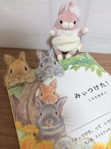 🍑🐰かわいい絵本さん、かわいいクリップさん🐇🐇
なんと絵本にはサインも入ってるんだよ〜💕