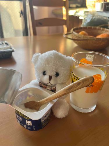 ぜんぶ しろいの 〜
ごしゅじんさま は つめたい って いってるけど ろんちゃんは つめたく ないよ〜