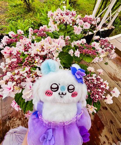 これも紫陽花っていうのかぁ？