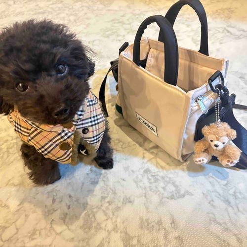 一緒にお散歩🐶🧸