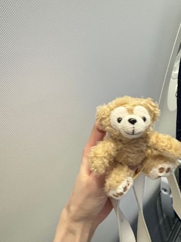 わざわざ飛行機✈️窓際にしたのに私のとこだけ窓なかったwwwww
ただ壁と撮ってるみたいなってもた