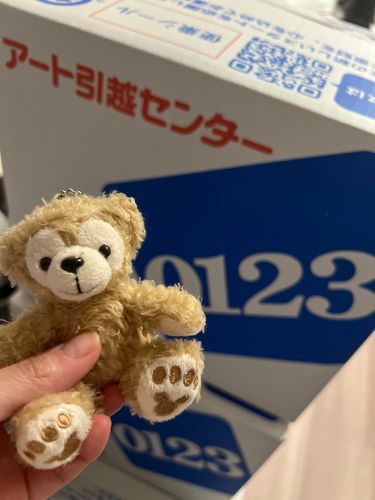 引っ越します！！🫡