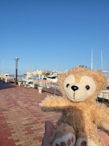 引越しバタバタでしたー📦

沖縄に行った時の朝散歩の ダ🧸

やっぱり君は海が似合うねー⚓︎