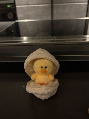 たまごの中に…ヒヨコでーす！🐣