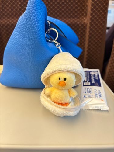 新幹線🚅
今日はヒヨコだけ連れて🐥