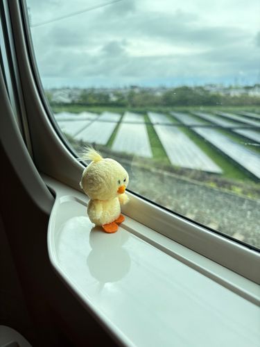 帰りまっせー！！