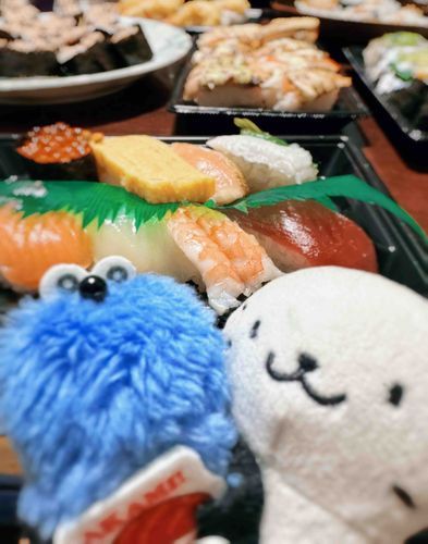 お迎えしたよ🍣