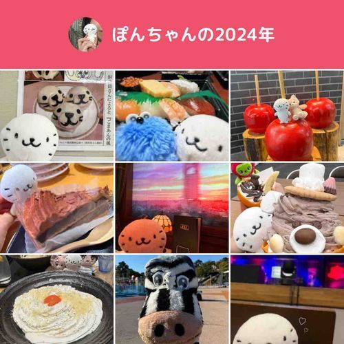 来年も、ぽんちゃんといろんな場所へ行けますように…🦭