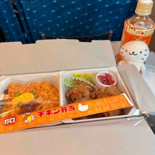 久々の遠出🚅