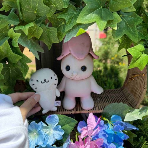 おじゃまします🏠