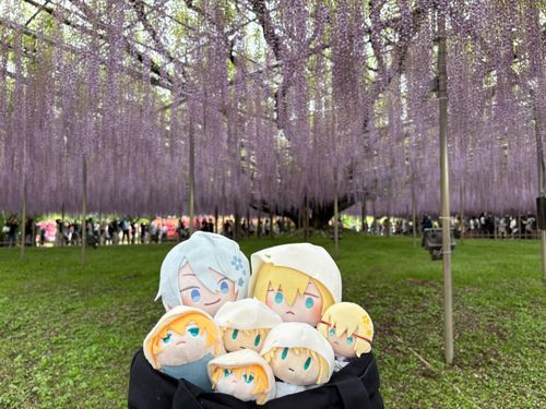 わんぱくんば：あしかがフラワーパークに連れて行ってもらった。わんぱくの本歌とパペと軽装とブルの俺は初めて。
