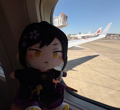 たろうたち：綿の私が空を飛ぶ日が来るとは。気がそぞろです。