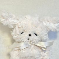 くぅちゃん