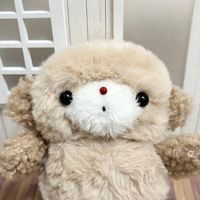 ふわりちゃん
