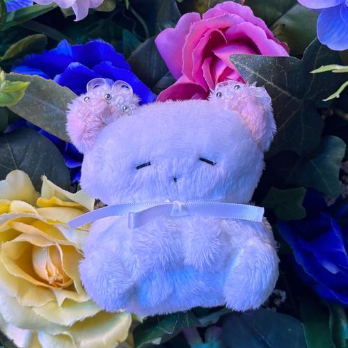 猫界の眠り姫、にゃむだニョン